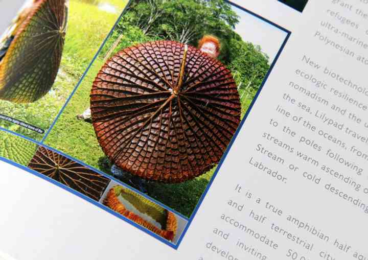 EXHIBITION "FERTILE CITIES" fertile_pl017