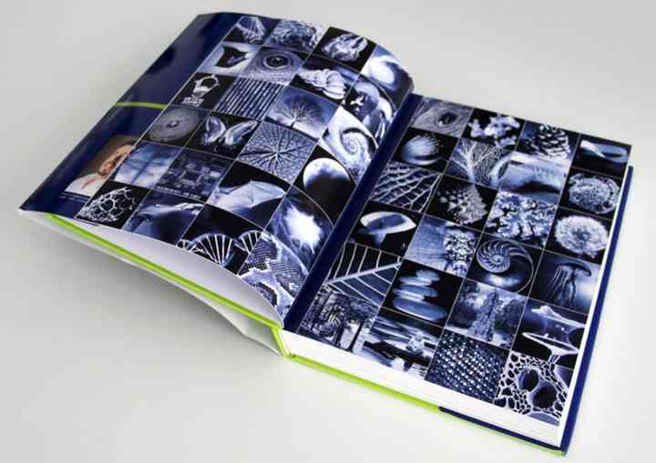 EXHIBITION "FERTILE CITIES" fertile_pl025