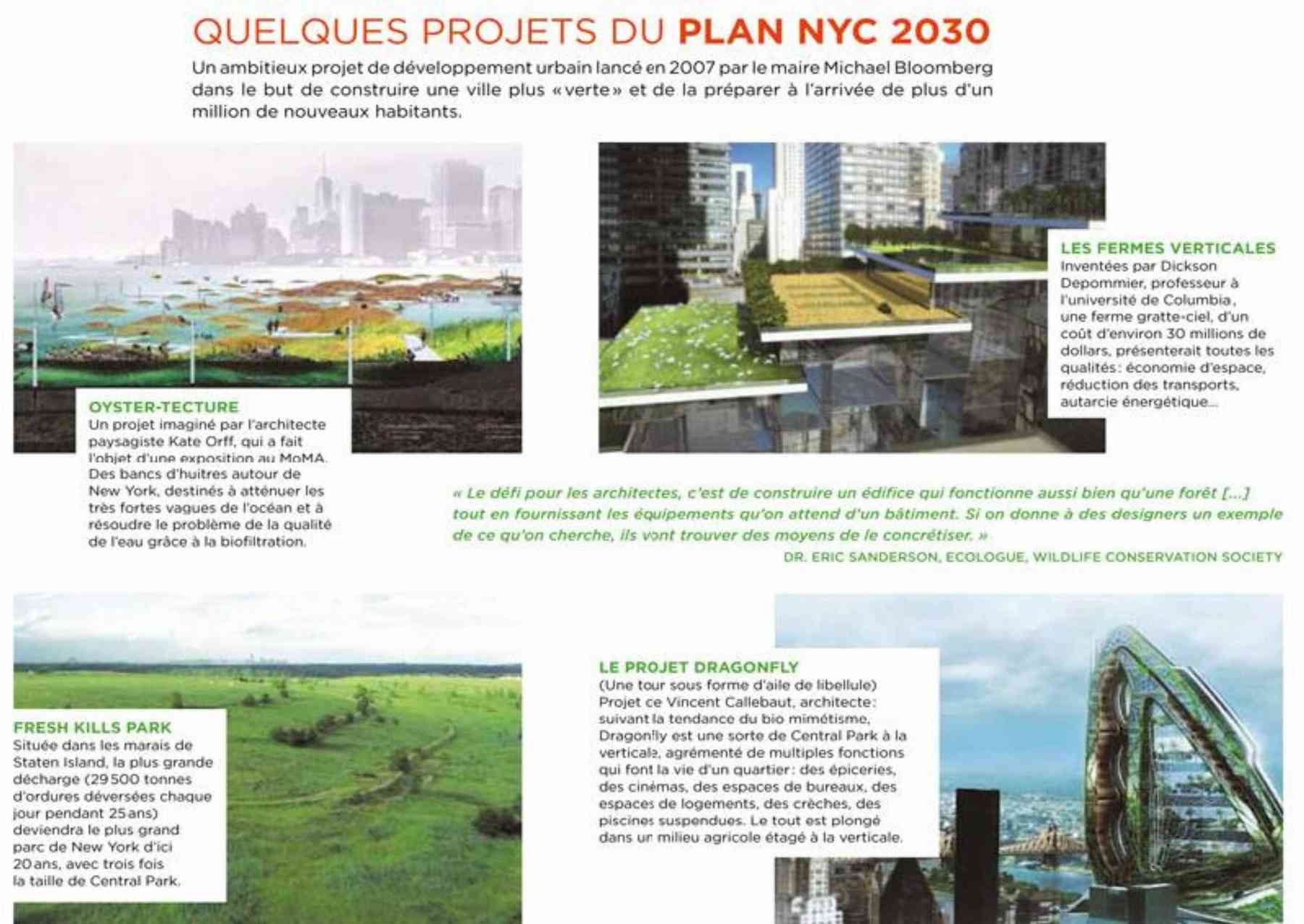 130523_naturopolis-naturopolis_pl003