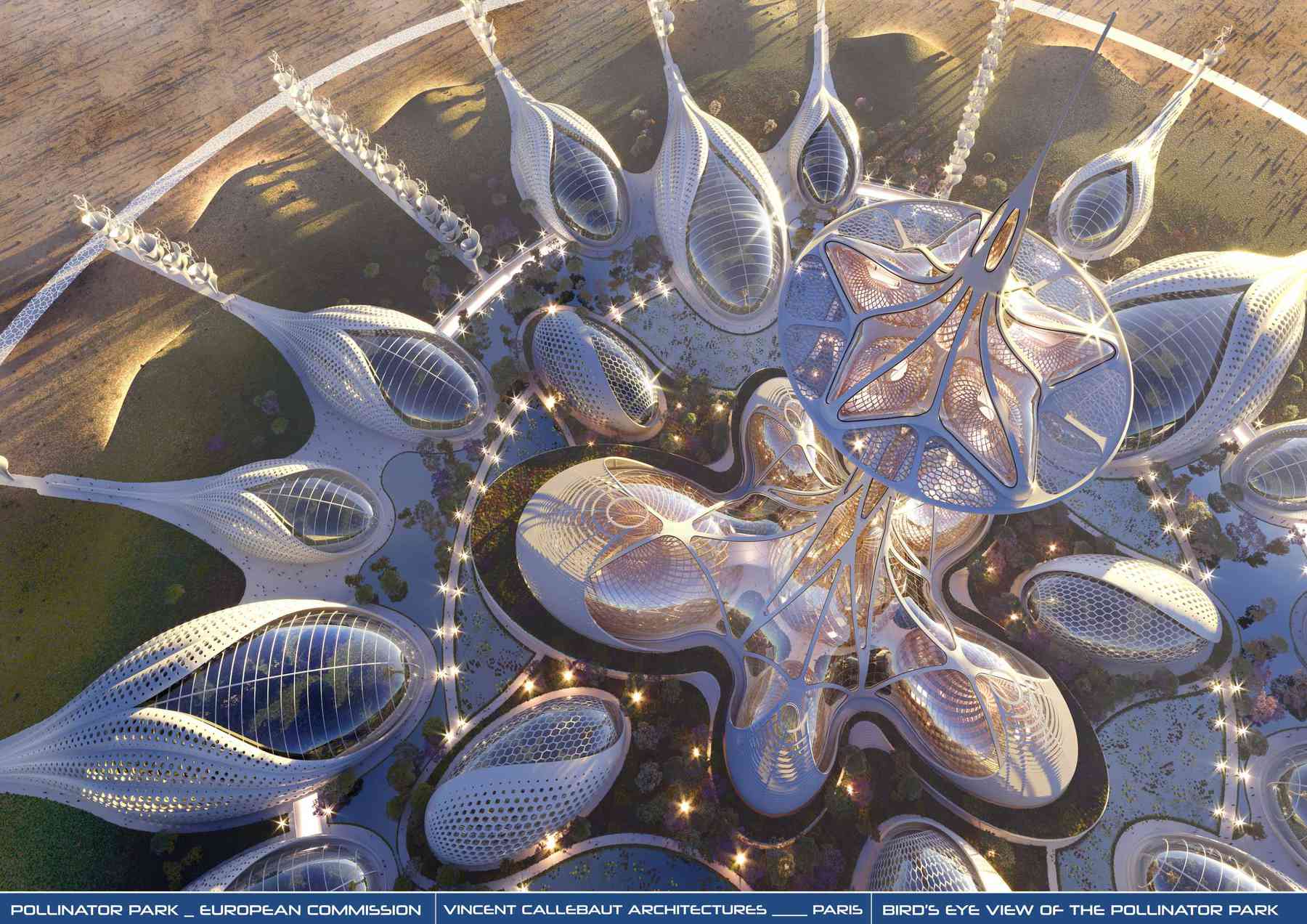 210307_pollinatorparkofficiallaunch-pollinatorparkofficiallaunch_pl002