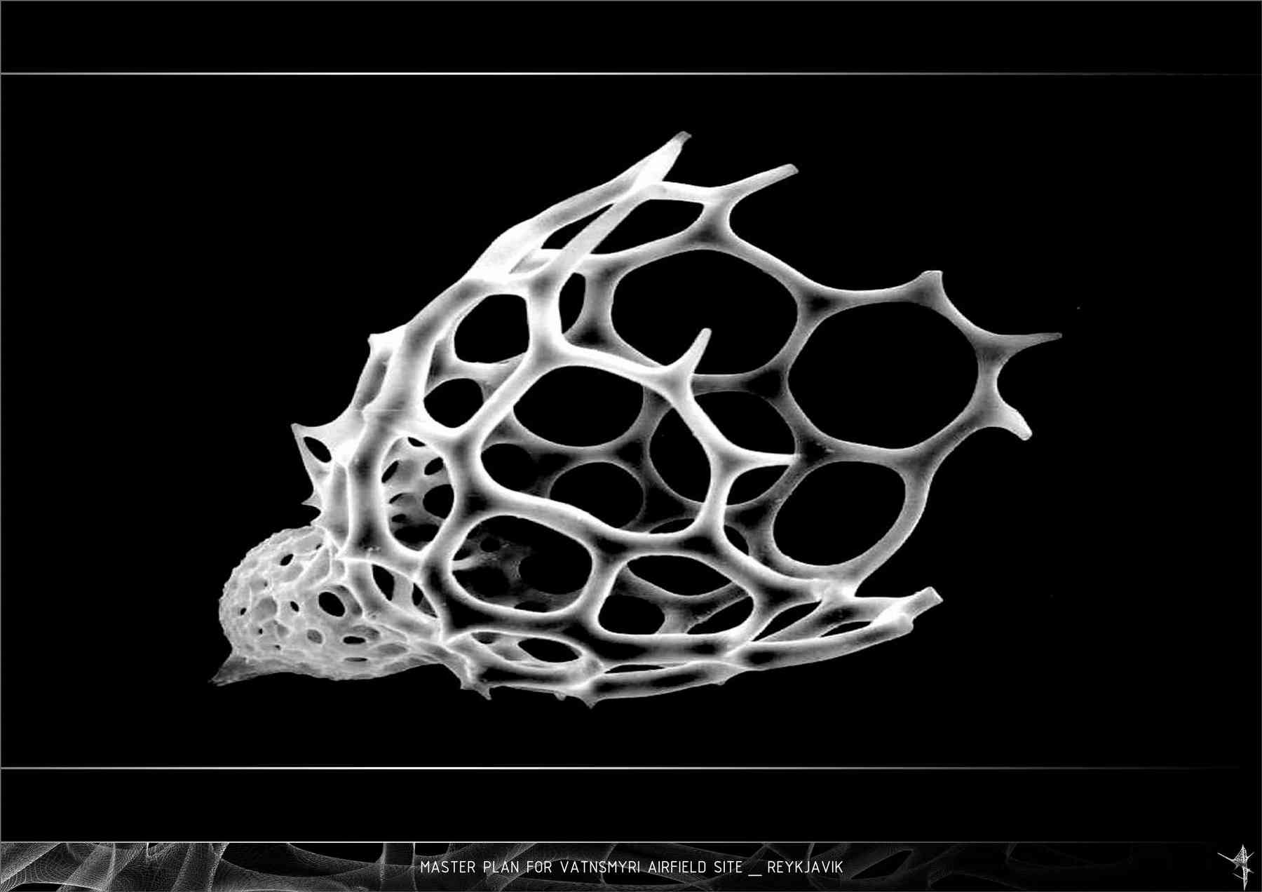 070309_reykjavik-reykjavik_pl024