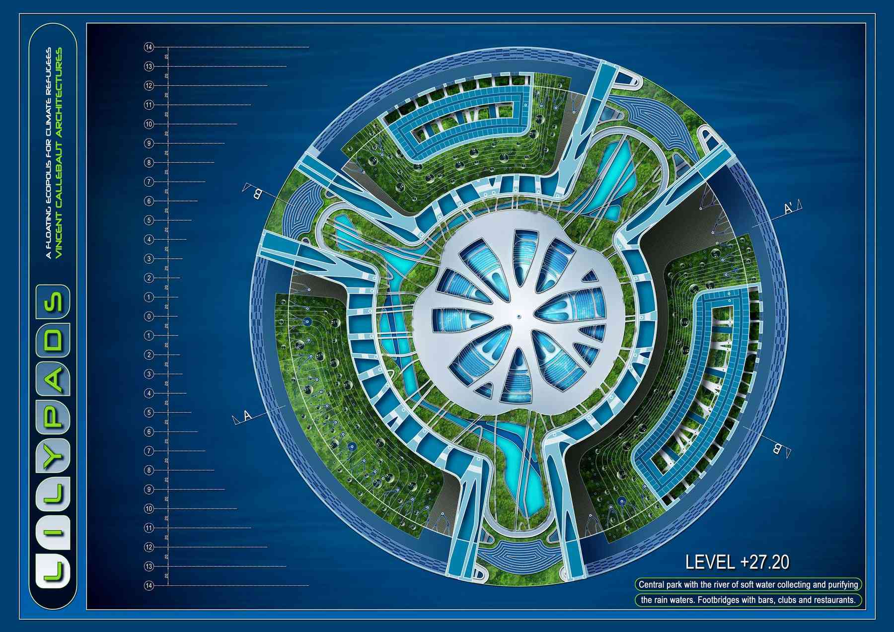 080523_lilypad-lilypad_pl013