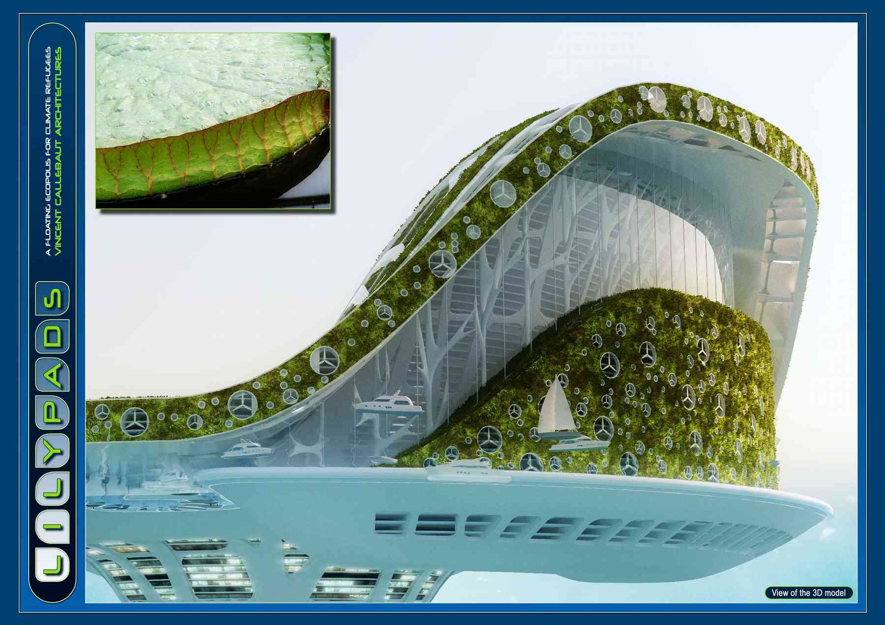 080523_lilypad-lilypad_pl040