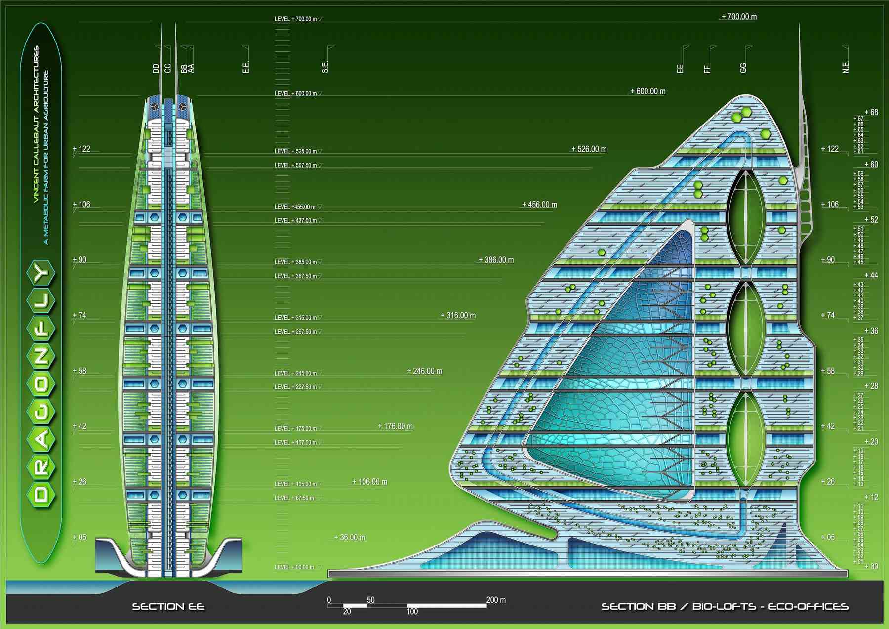 090429_dragonfly-dragonfly_pl013