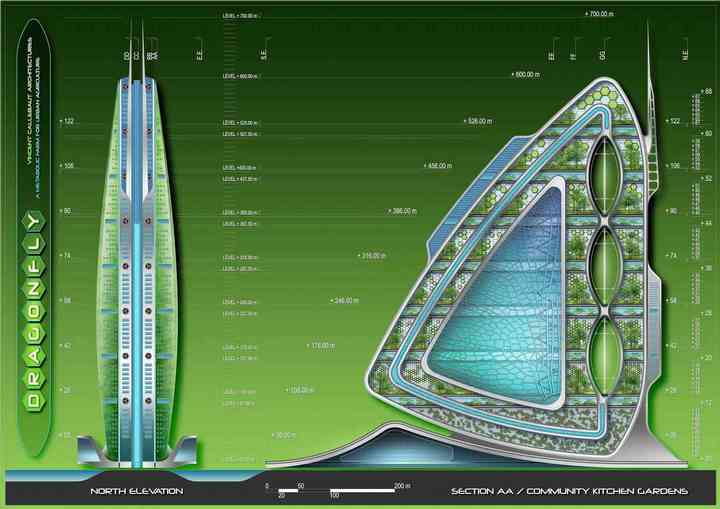 DRAGONFLY dragonfly_pl012