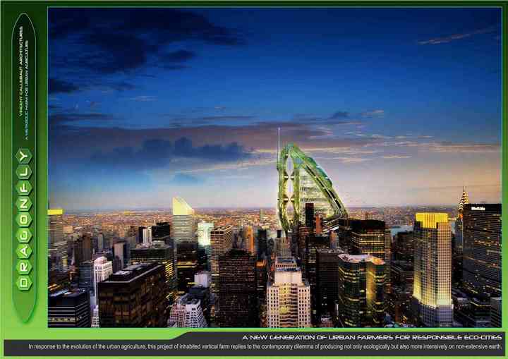 DRAGONFLY dragonfly_pl027