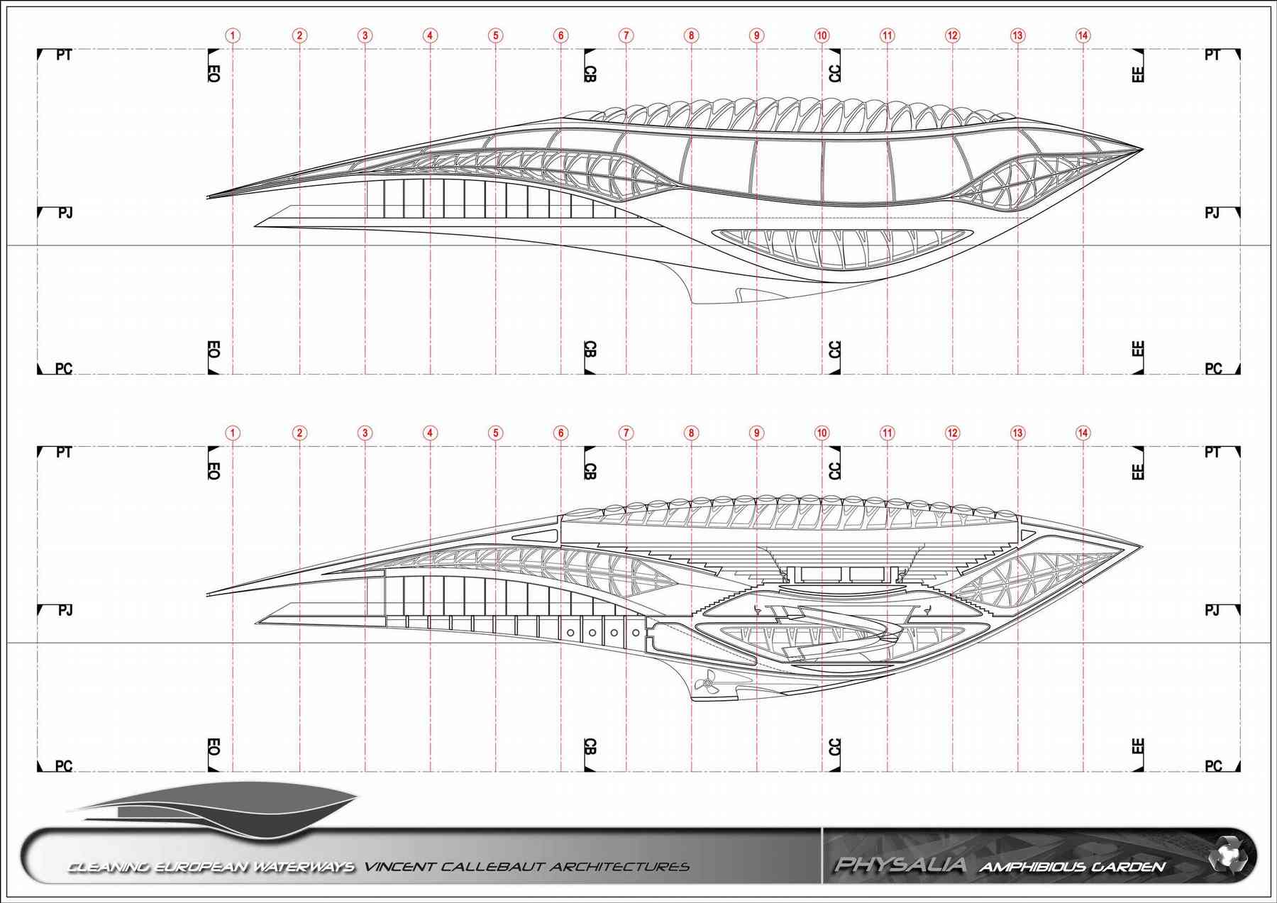 100104_physalia-physalia_pl022