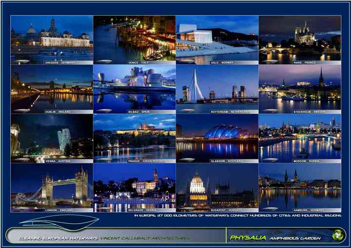 PHYSALIA physalia_pl003