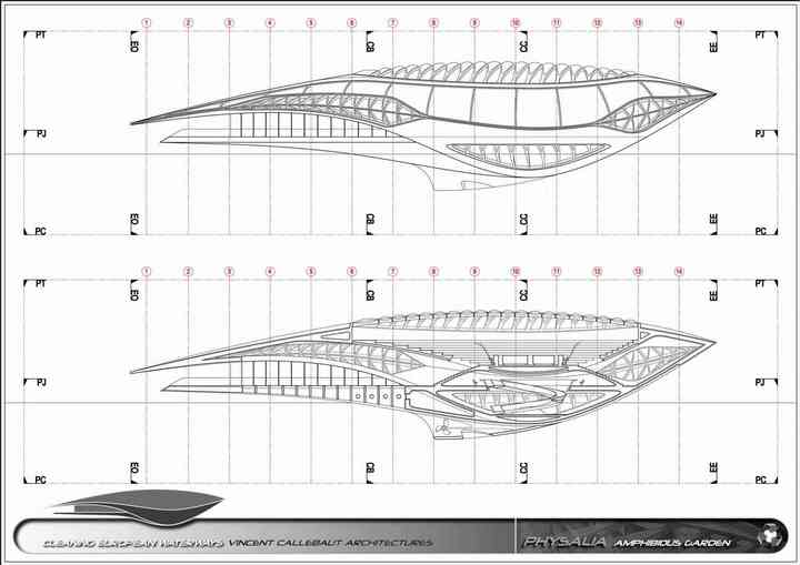 PHYSALIA physalia_pl022