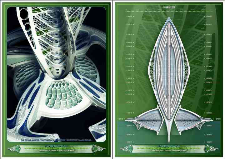 HYDROGENASE hydrogenase_pl018