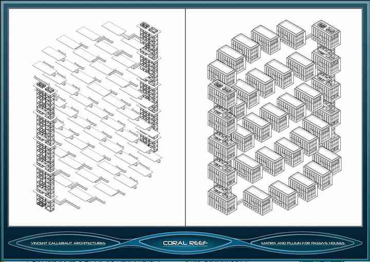 CORAL REEF coral_pl023