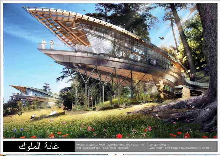 KINGS FOREST morocco_pl008