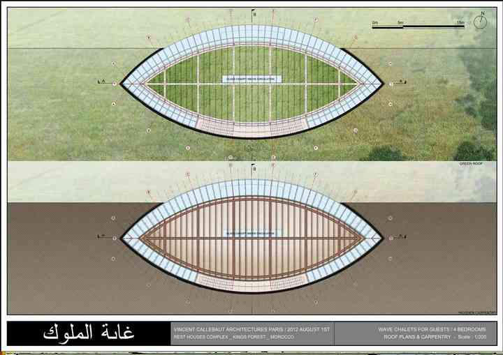 KINGS FOREST morocco_pl066