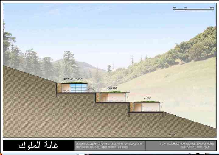 KINGS FOREST morocco_pl081