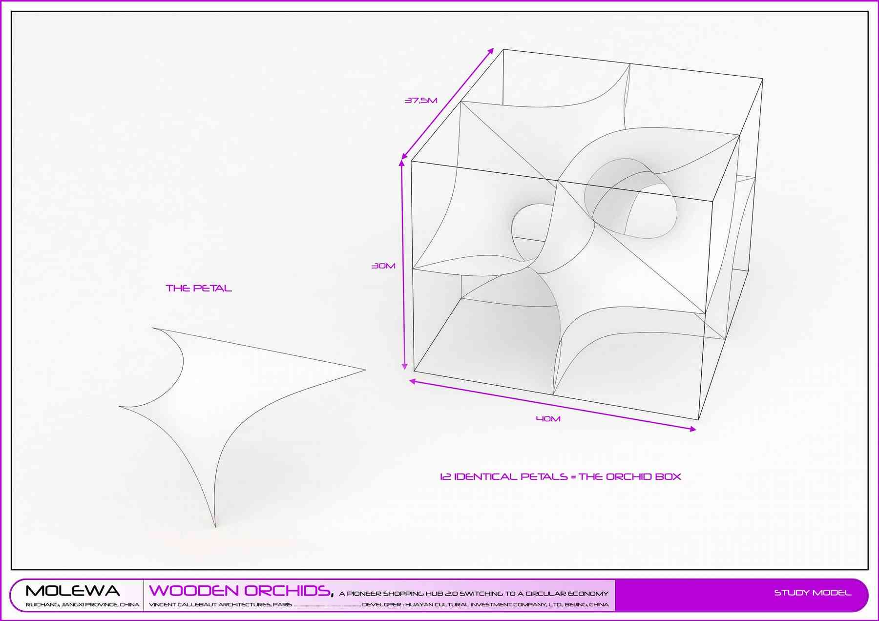 150527_woodenorchids-woodenorchids_pl013