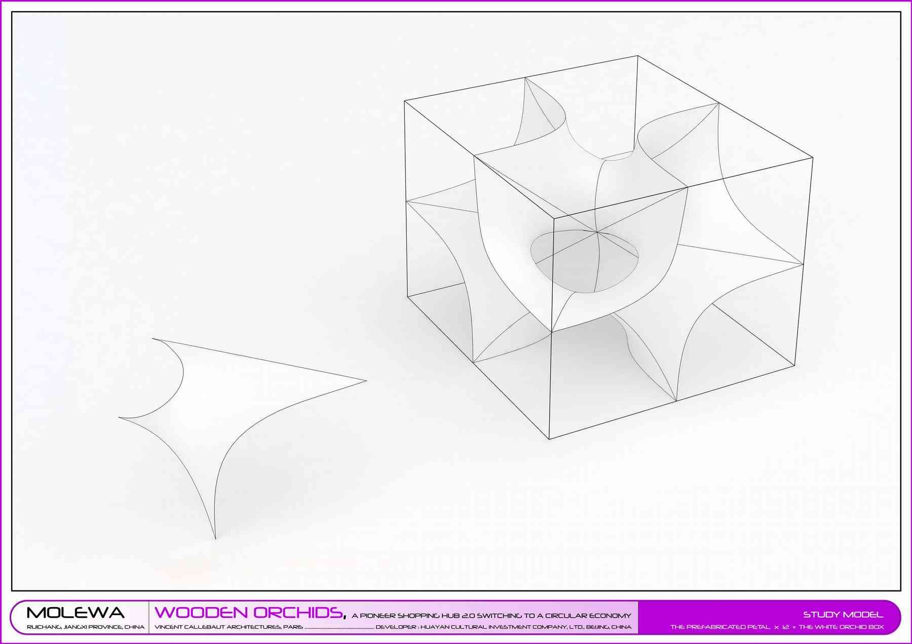 150527_woodenorchids-woodenorchids_pl015