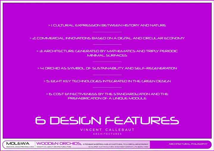 WOODEN ORCHIDS woodenorchids_pl009