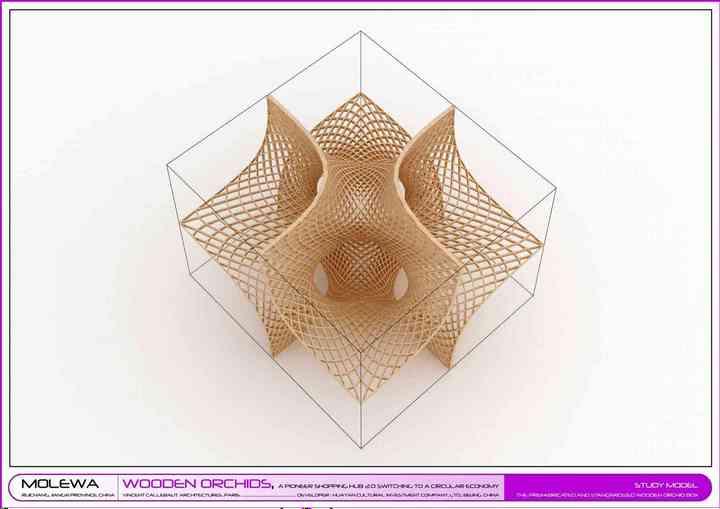 WOODEN ORCHIDS woodenorchids_pl018