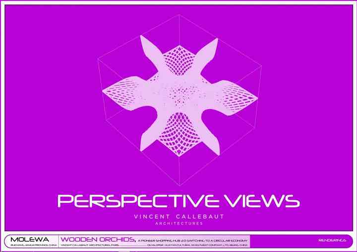 WOODEN ORCHIDS woodenorchids_pl057