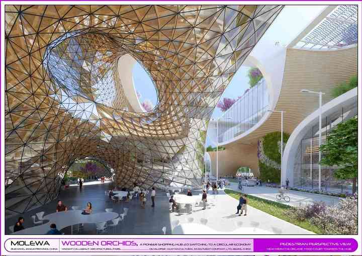 WOODEN ORCHIDS woodenorchids_pl064