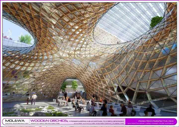 WOODEN ORCHIDS woodenorchids_pl066