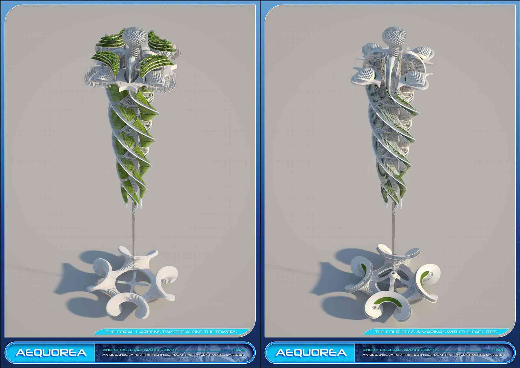 151223_aequorea-aequorea_pl014