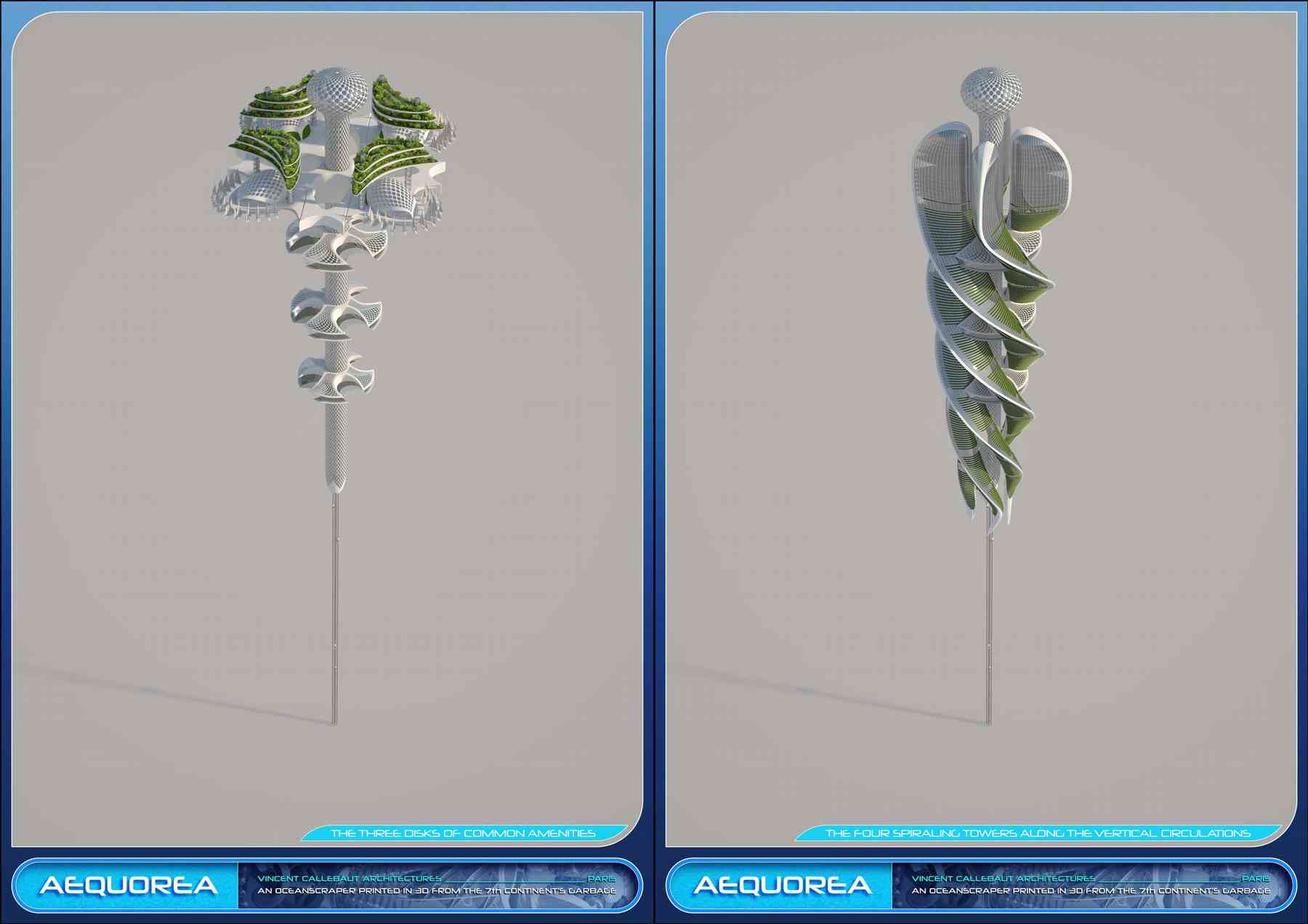 151223_aequorea-aequorea_pl015