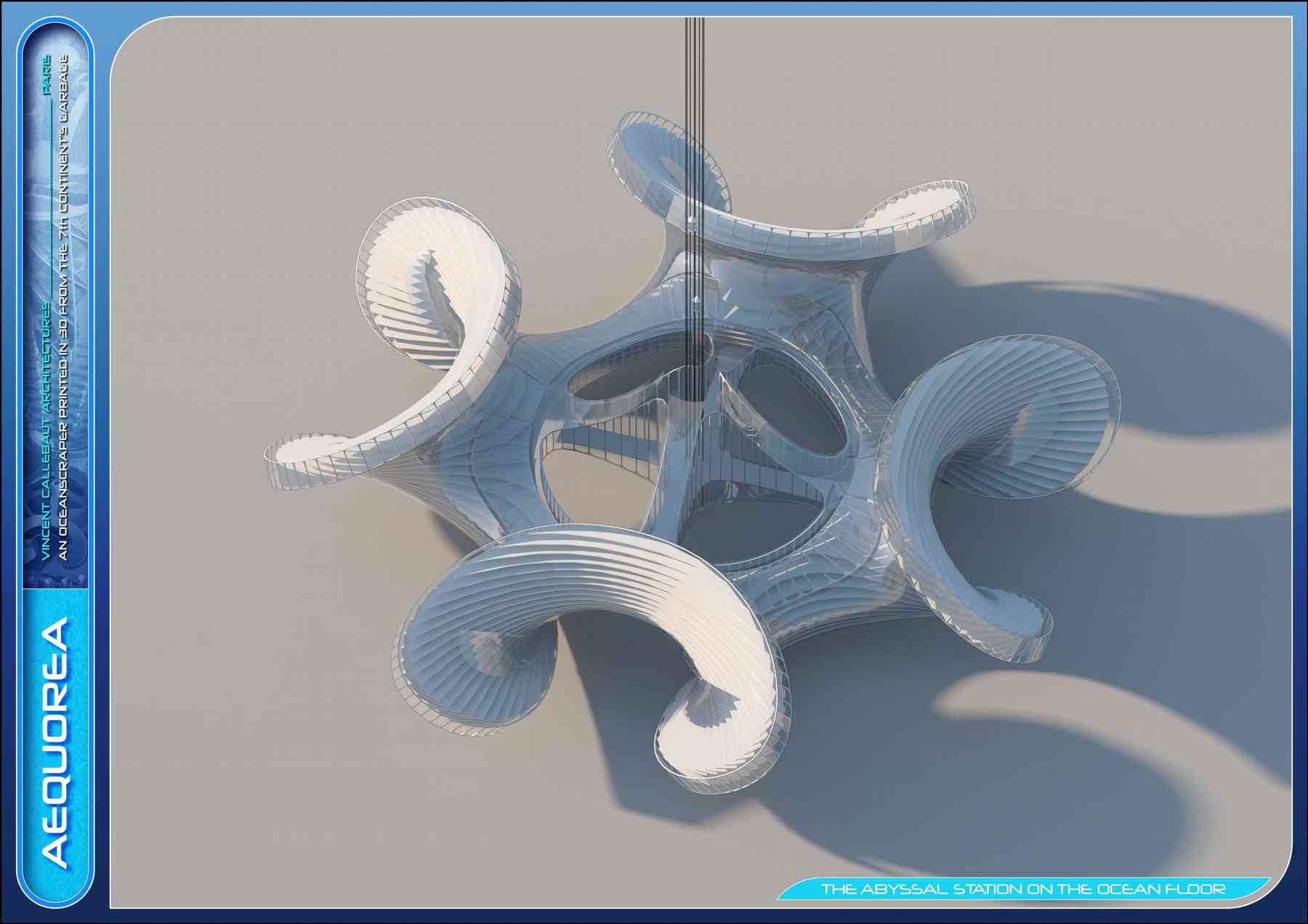 151223_aequorea-aequorea_pl033