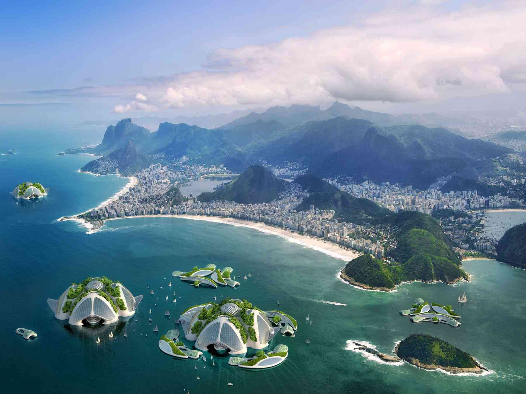 151223_aequorea-aequorea_pl040