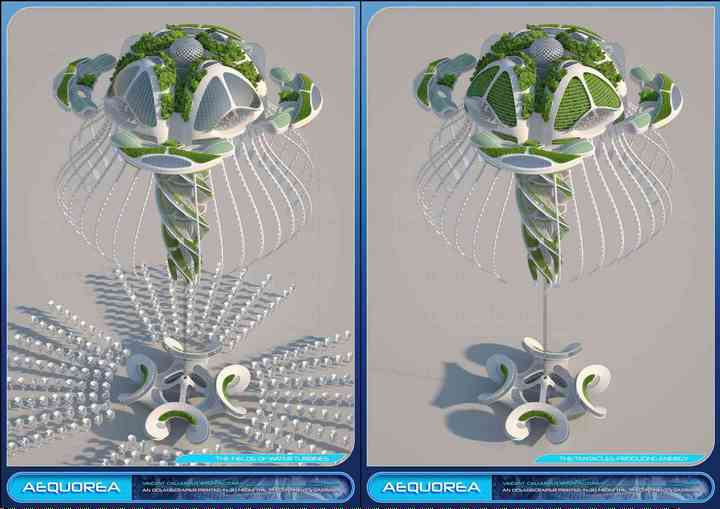 AEQUOREA aequorea_pl012