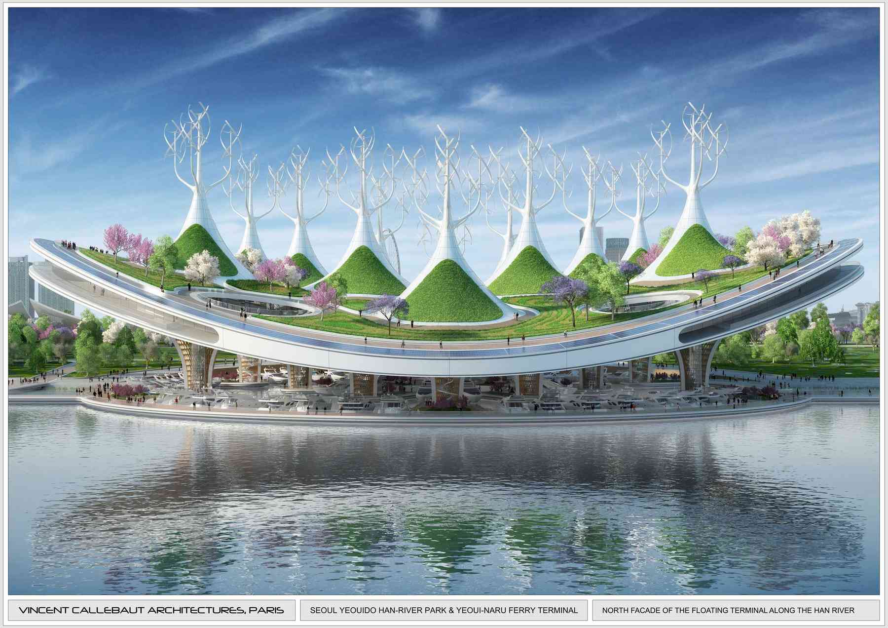 170609_mantaray-new_pl020