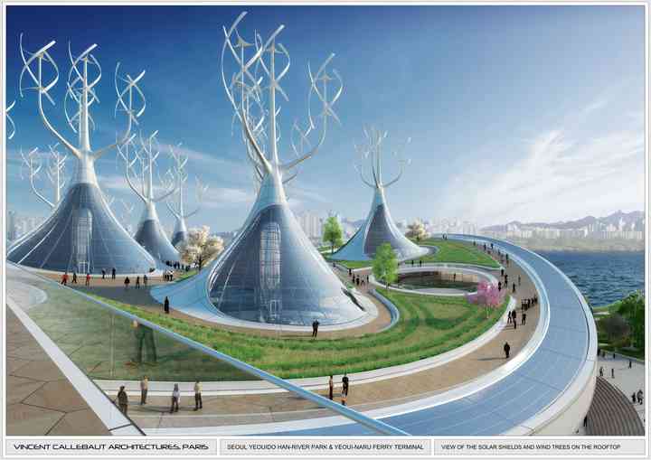 MANTA RAY mantaray_pl018