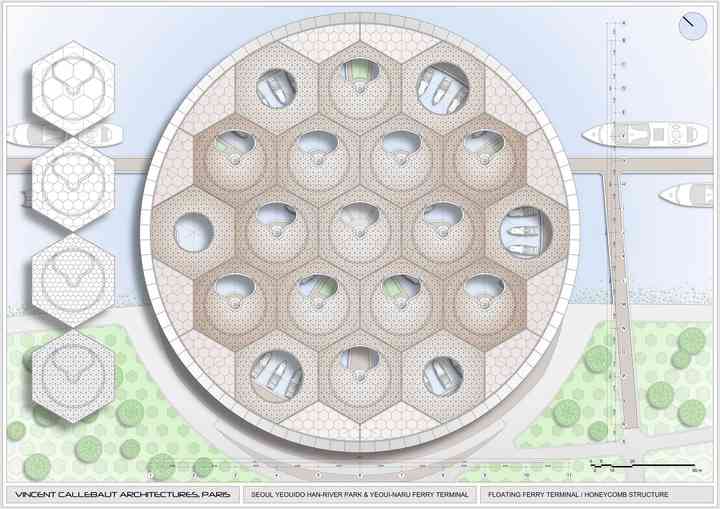 MANTA RAY mantaray_pl029