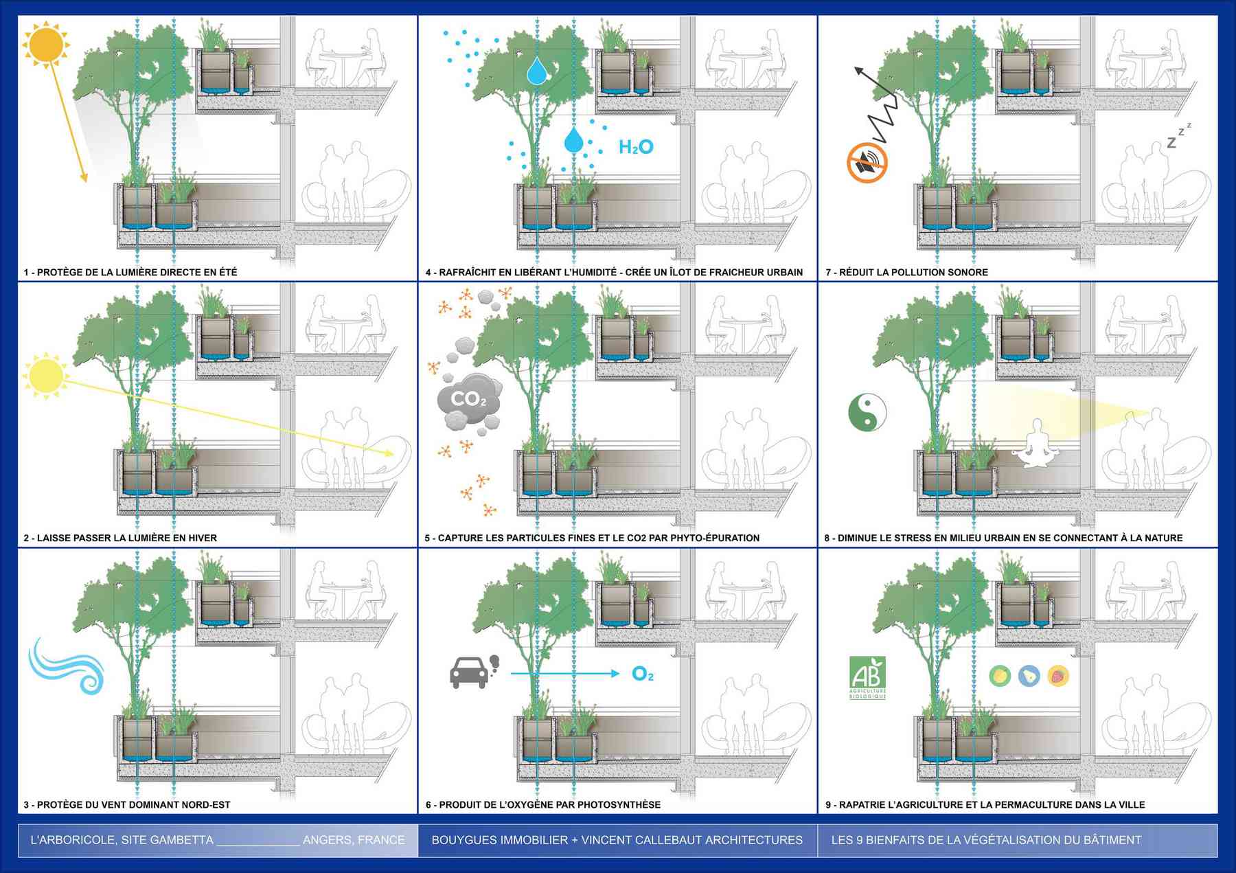 180314_arboricole-arboricole_pl034