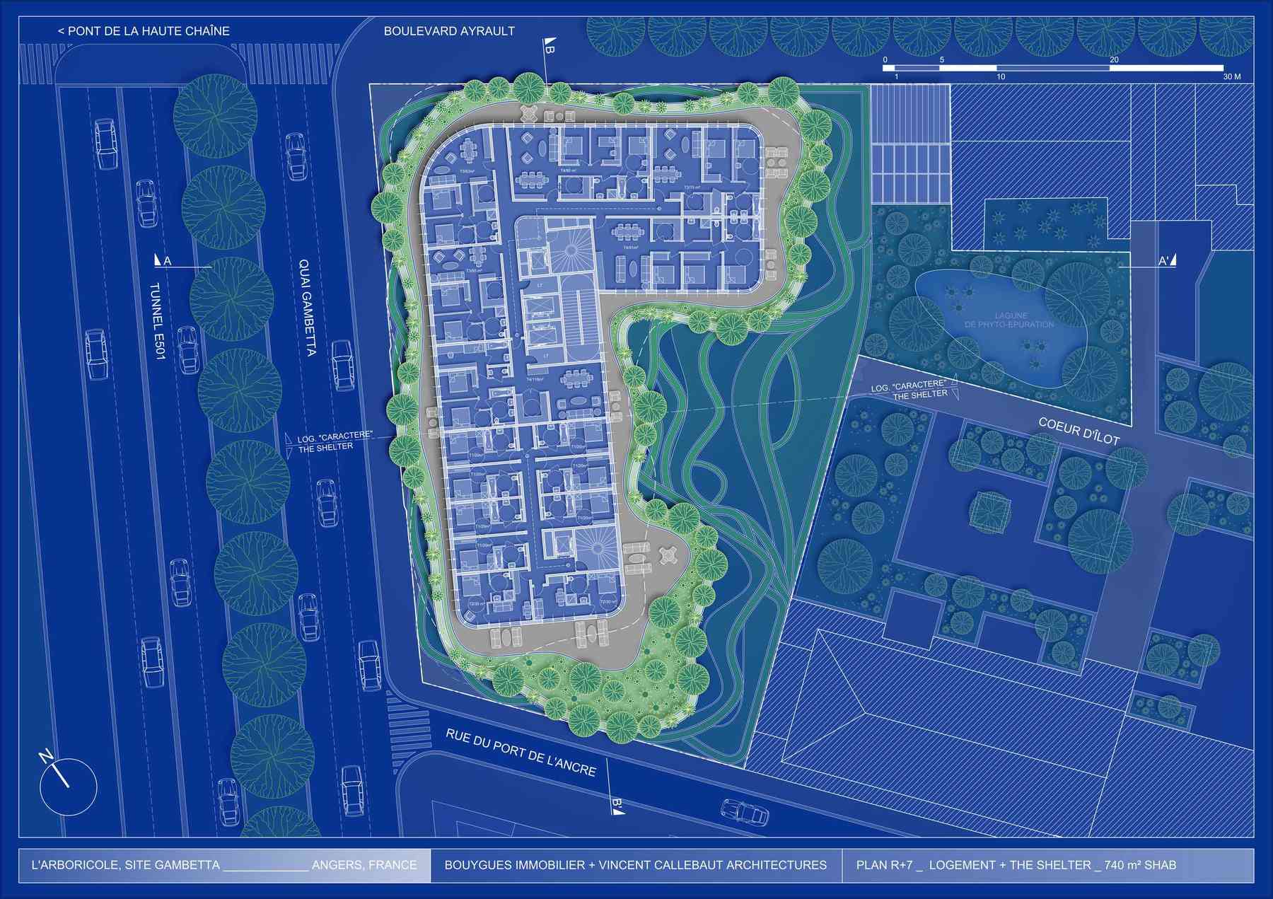 180314_arboricole-arboricole_pl043