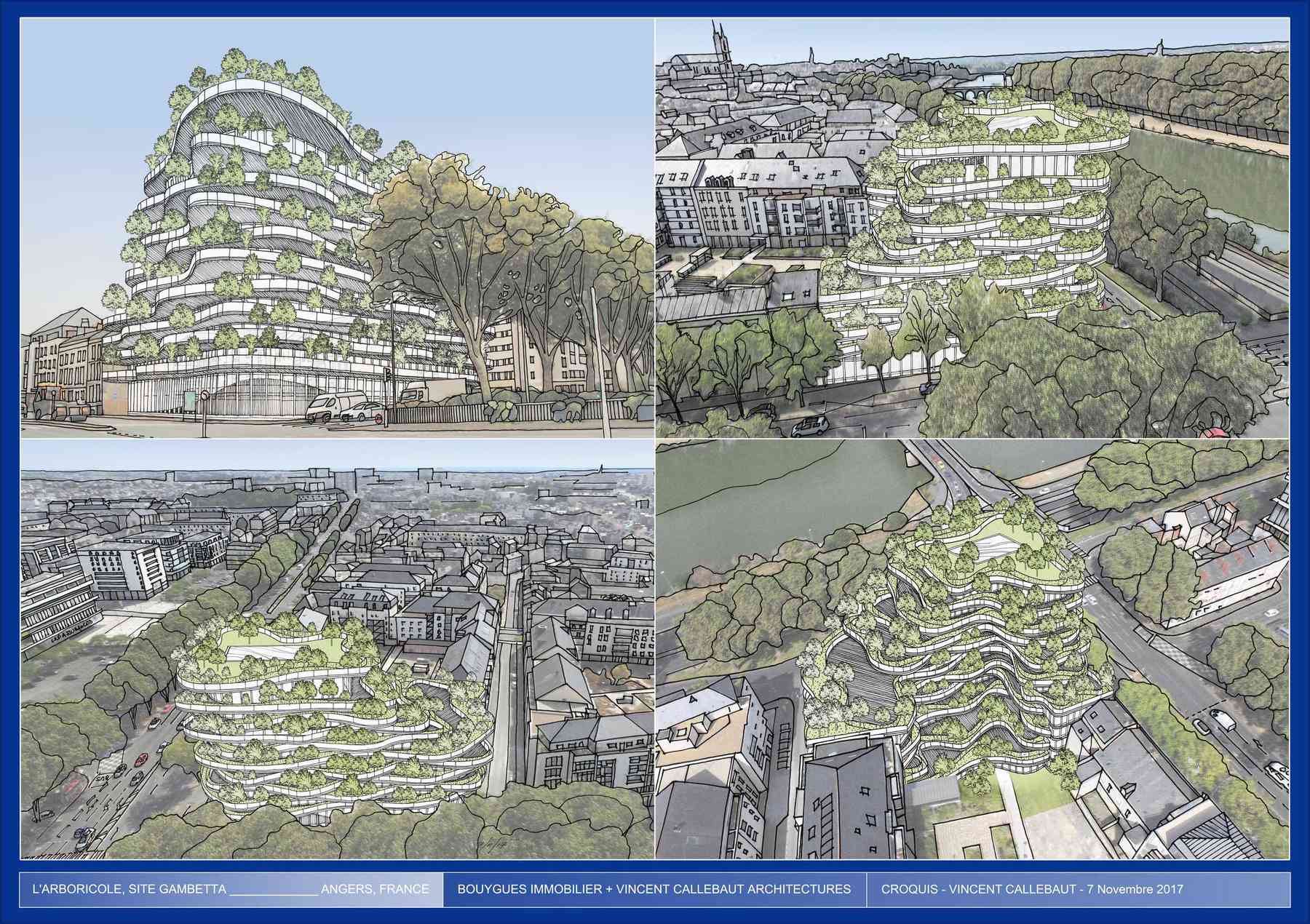 180314_arboricole-arboricole_pl054