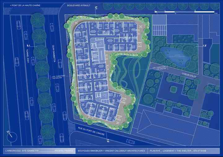 ARBORICOLE arboricole_pl044