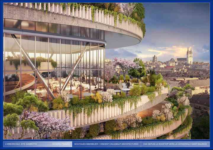 ARBORICOLE new_pl007