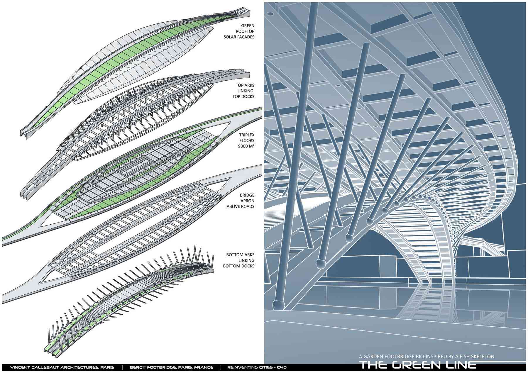 180615_thegreenline-thegreenline_pl010