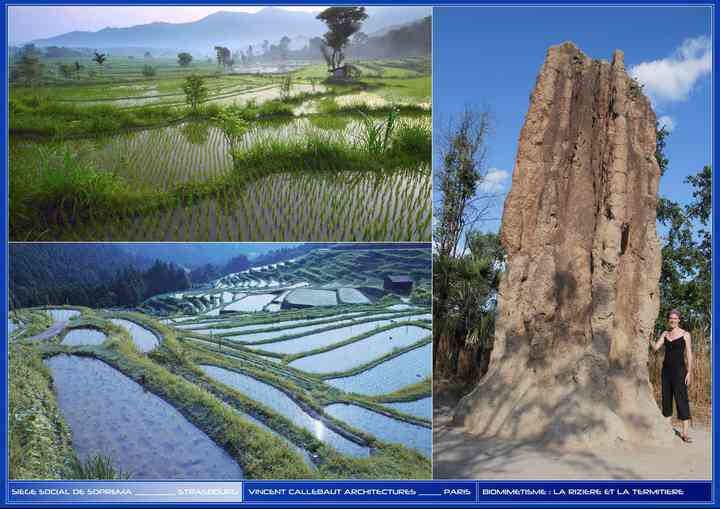 SOPREMA HEADQUARTERS soprema_pl002