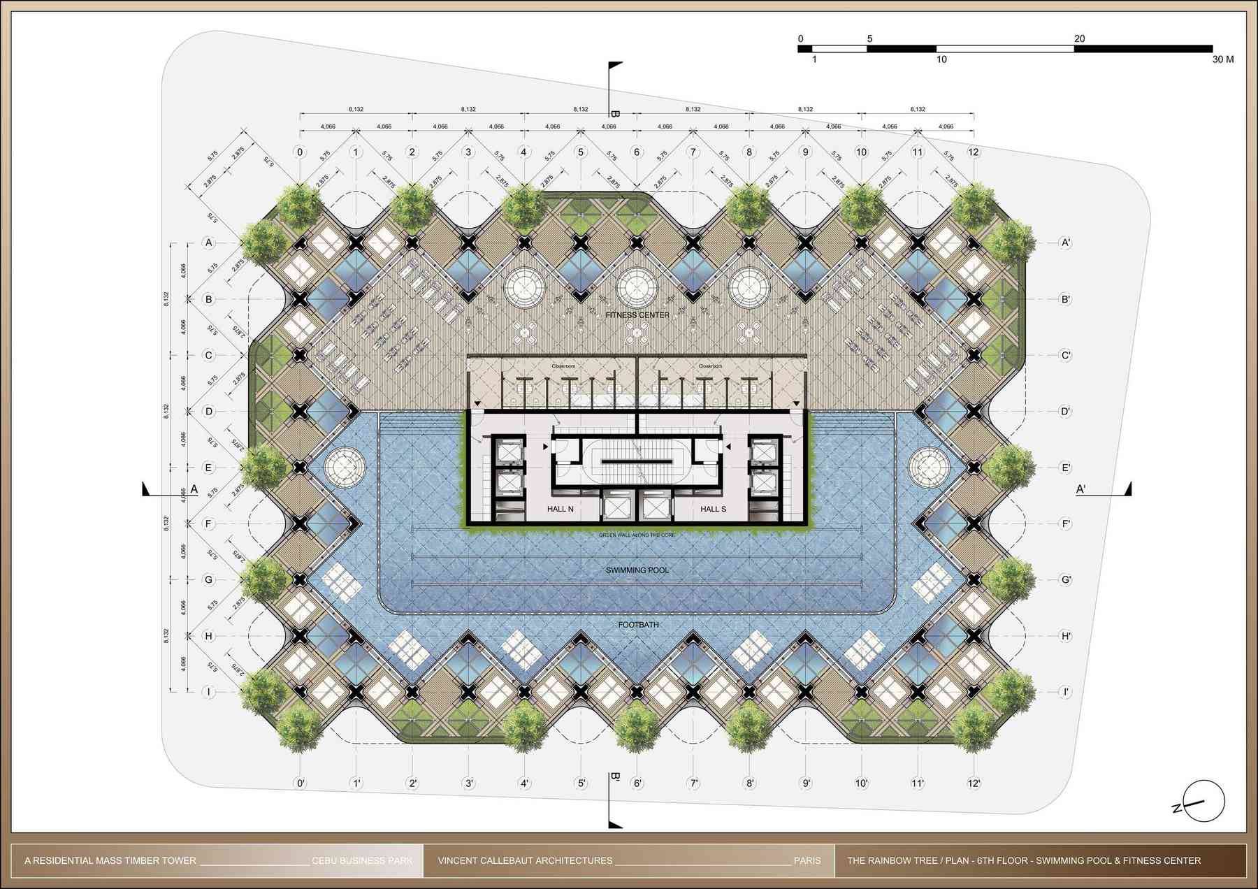 200207_rainbowtree-rainbowtree_pl042