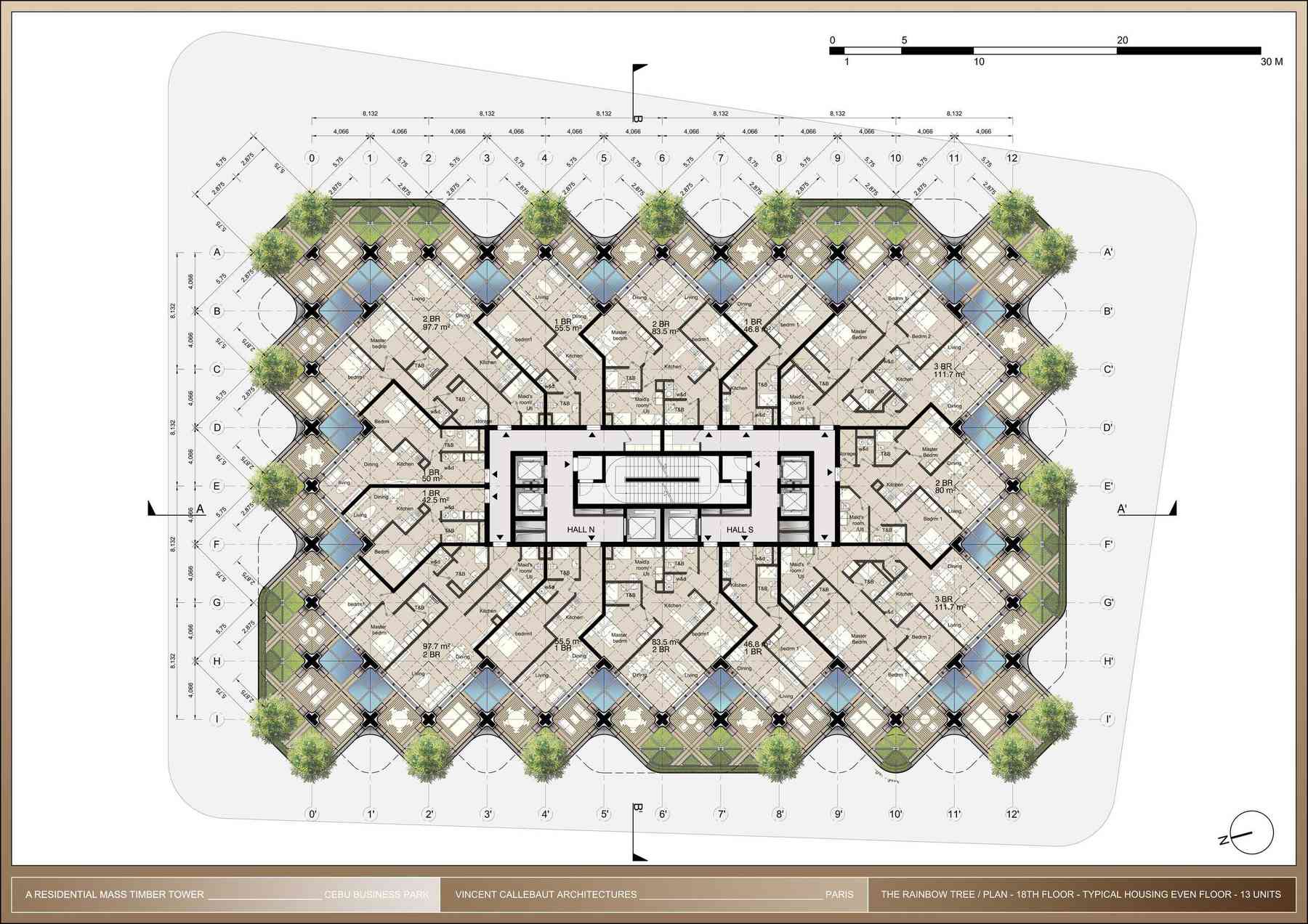 200207_rainbowtree-rainbowtree_pl043