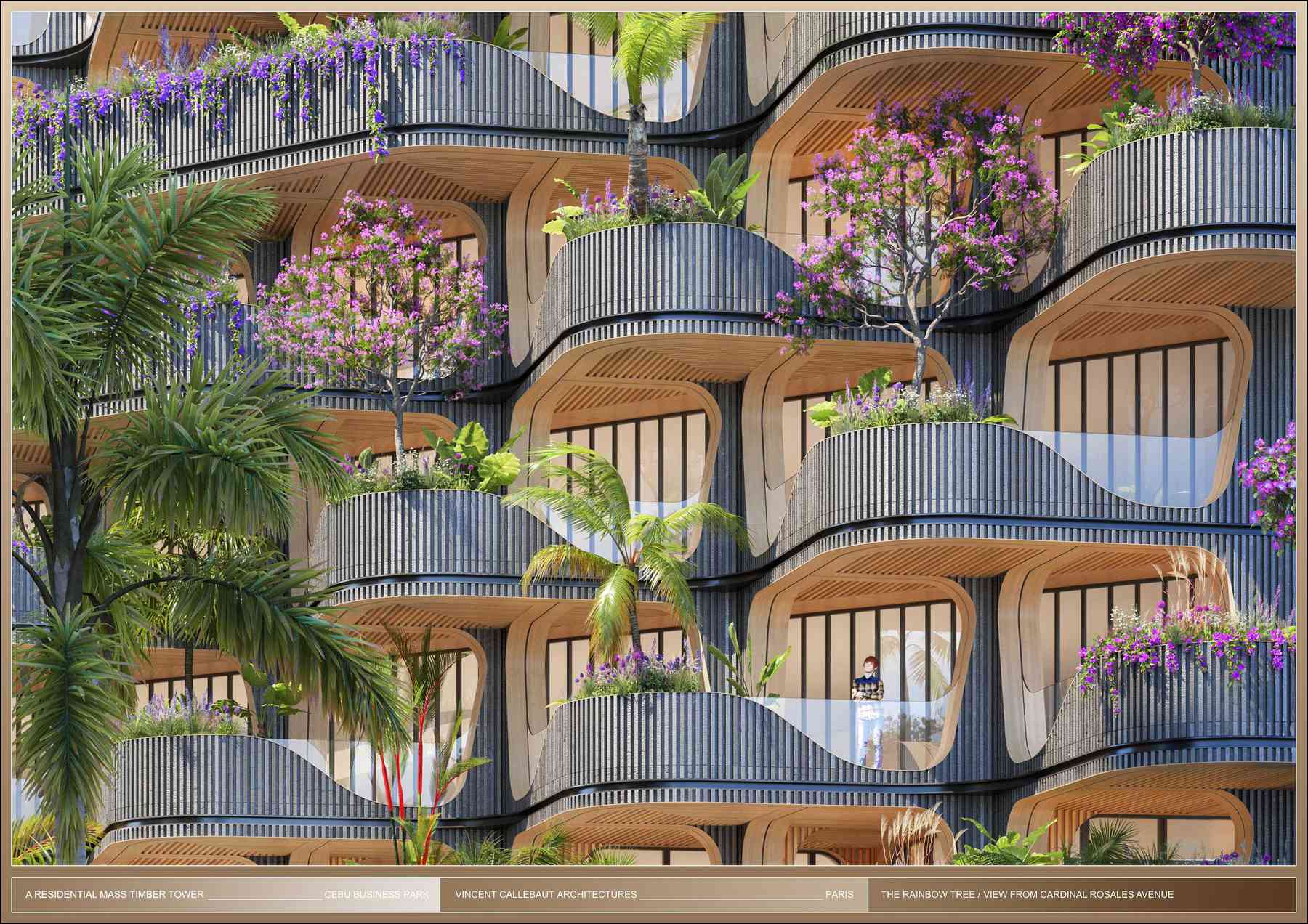 200207_rainbowtree-rainbowtree_pl063