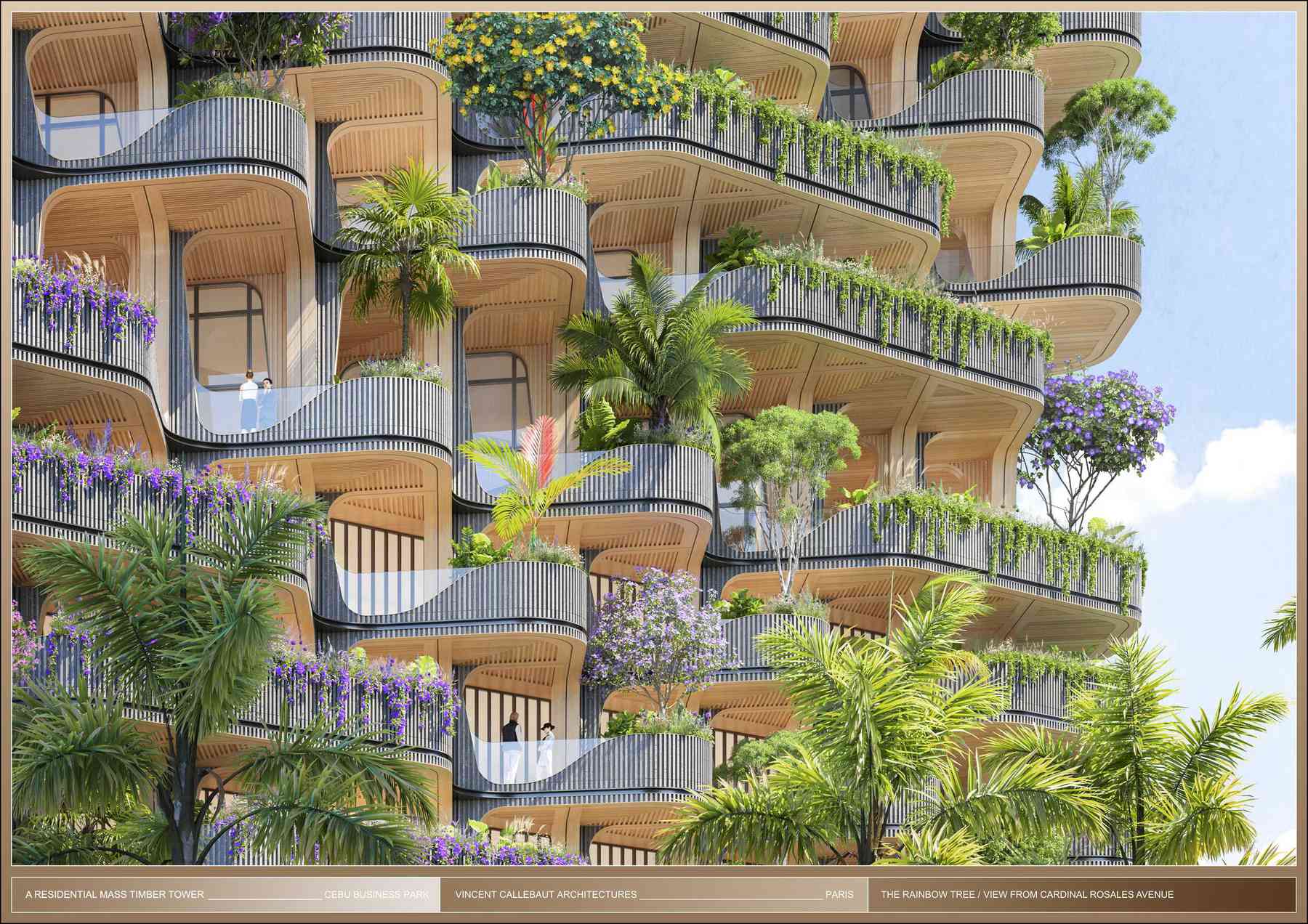 200207_rainbowtree-rainbowtree_pl065