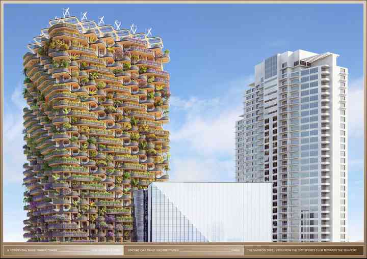 THE RAINBOW TREE rainbowtree_pl008