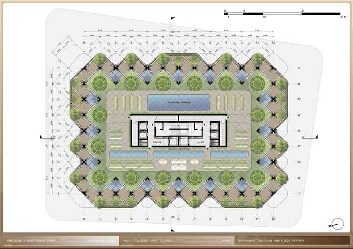 THE RAINBOW TREE rainbowtree_pl045