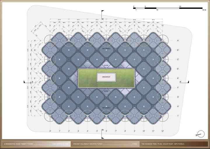 THE RAINBOW TREE rainbowtree_pl046