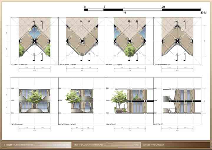 THE RAINBOW TREE rainbowtree_pl051