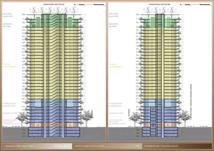 THE RAINBOW TREE rainbowtree_pl056