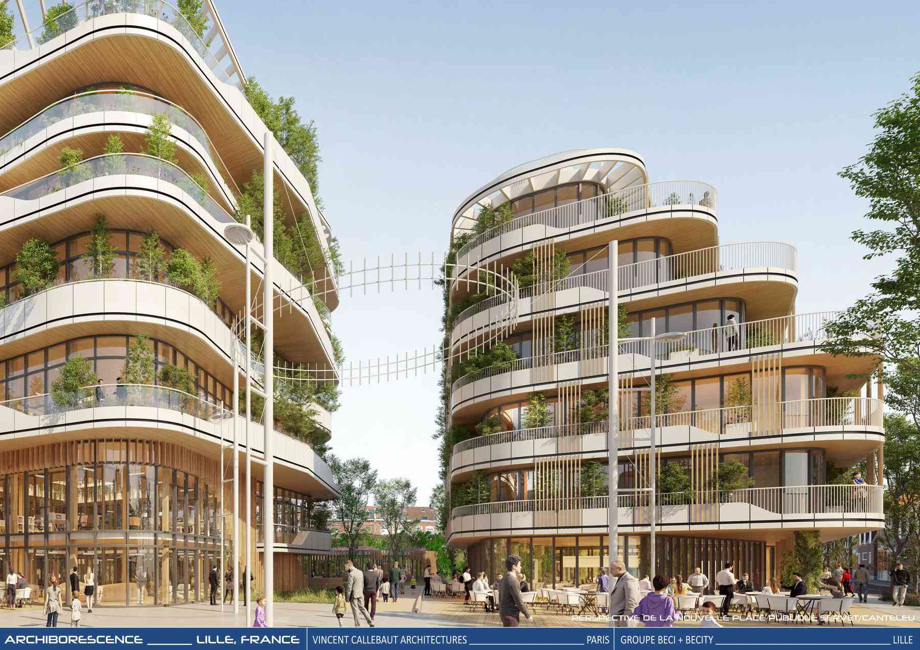 210126_archiborescence-archiborescence_pl008